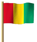 Guinea Flagge Fahne GIF Animation Guinea flag 