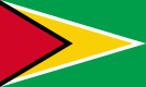 Guyana Flagge Fahne Guyana flag 