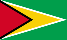 Guyana Flagge Fahne Guyana flag 