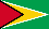 Guyana Flagge Fahne Guyana flag 