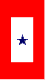 single star service pennant